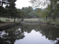 P9220161.JPG