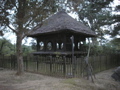 P9220163.JPG