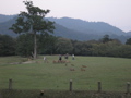 P9220165.JPG