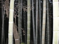 P9220170.JPG