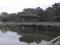 P9220171.JPG