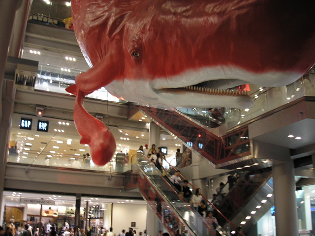 P9280081.JPG