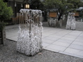 P9280020.JPG