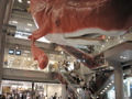 P9280081.JPG